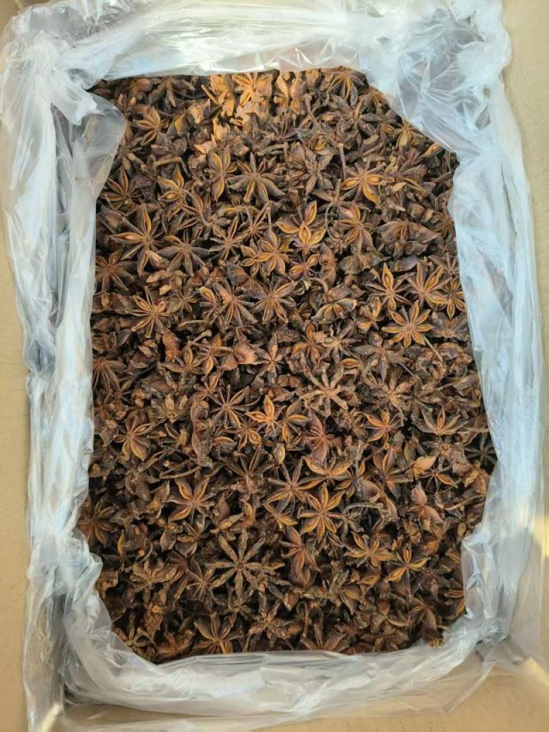 广西古龙大红八角大料国家地理标志产品