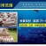 秘鲁进口蒸汽鱼粉饲料畜牧养殖家禽鸡鸭鹅鱼虾螺水产品兽用鱼