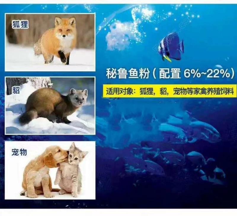 秘鲁进口蒸汽鱼粉饲料畜牧养殖家禽鸡鸭鹅鱼虾螺水产品兽用鱼
