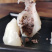 粘豆包批发江米红豆白糖