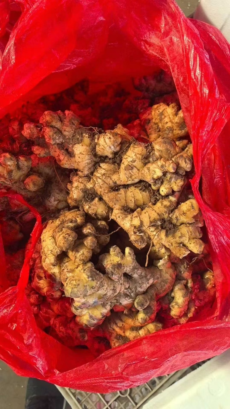 生姜大黄姜小黄姜老姜姜巴按需加工价格低