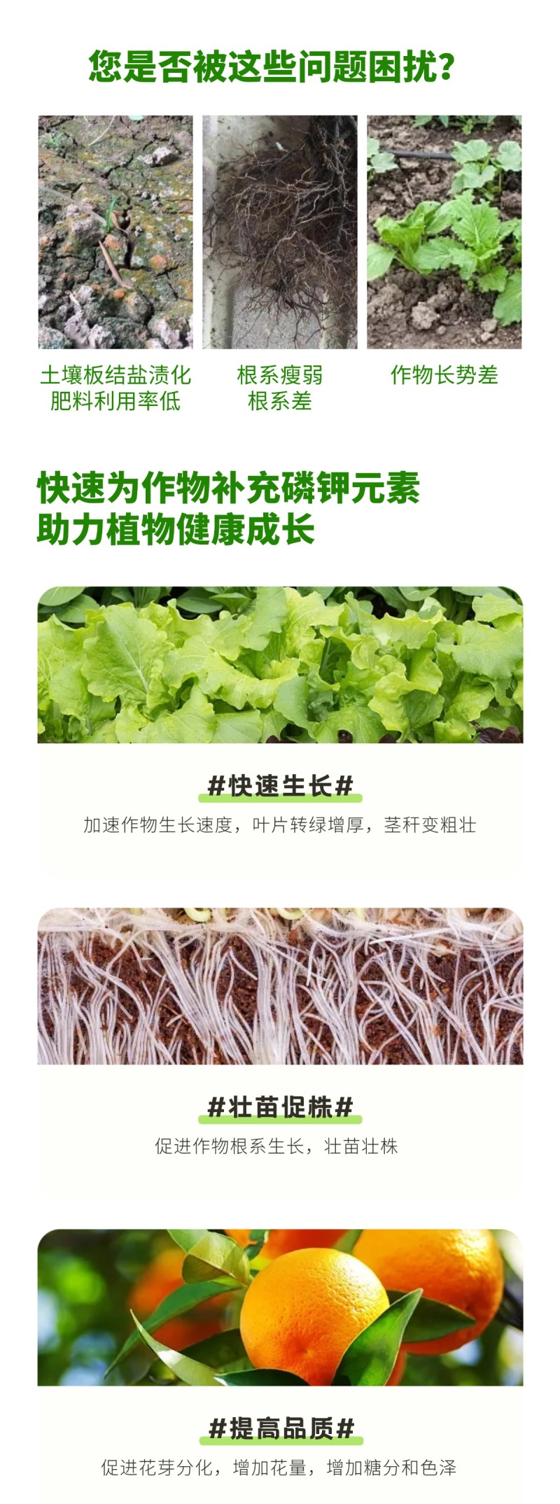 磷酸二氢钾厂家直销促花保果正品一手货源