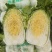 【优选好白菜】精品矮颗黄心白菜，产地直发。