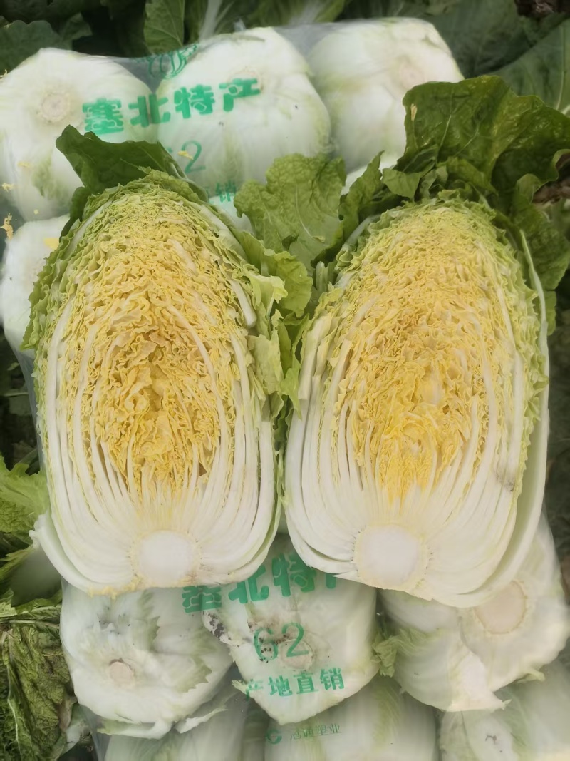 【优选好白菜】精品矮颗黄心白菜，产地直发。