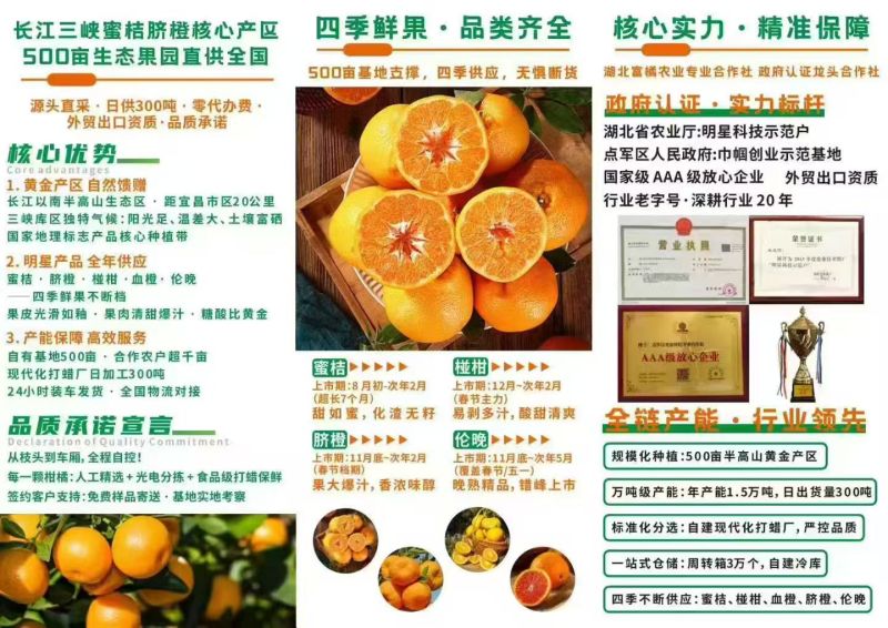 【推荐】精品纽荷尔脐橙/视频看货/对接商超批发市场