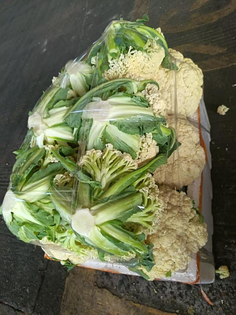 【推荐】温州花菜，松花菜/产地直发/视频看货/品质保证/