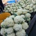 【推荐】温州花菜，松花菜/产地直发/视频看货/品质保证/