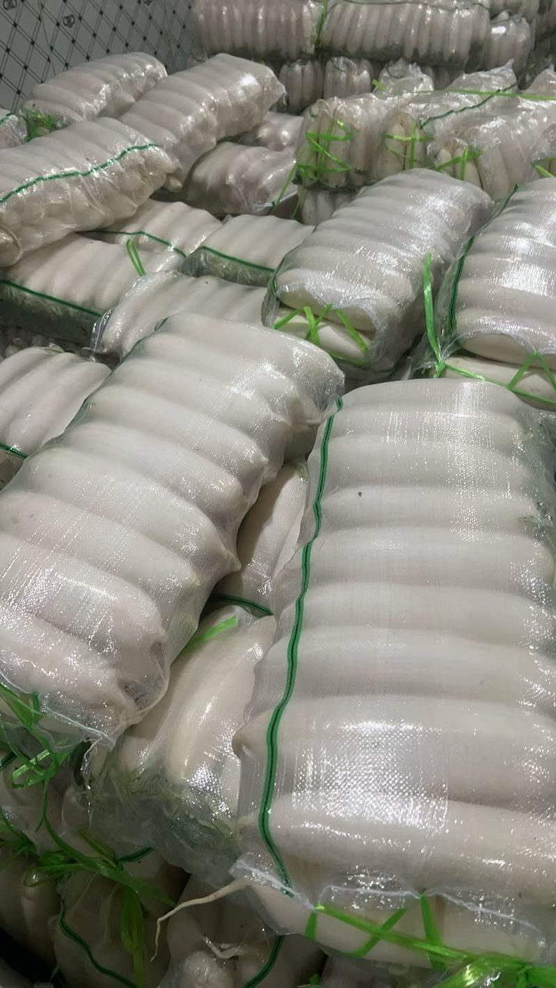《实力》白萝卜原产地供货，量大从优，可接电商平台市场档口
