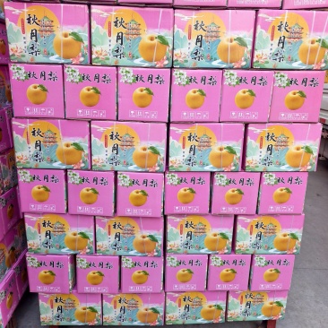 秋月梨梨中爱马仕精品礼盒庄装基地直发对接全国一条龙