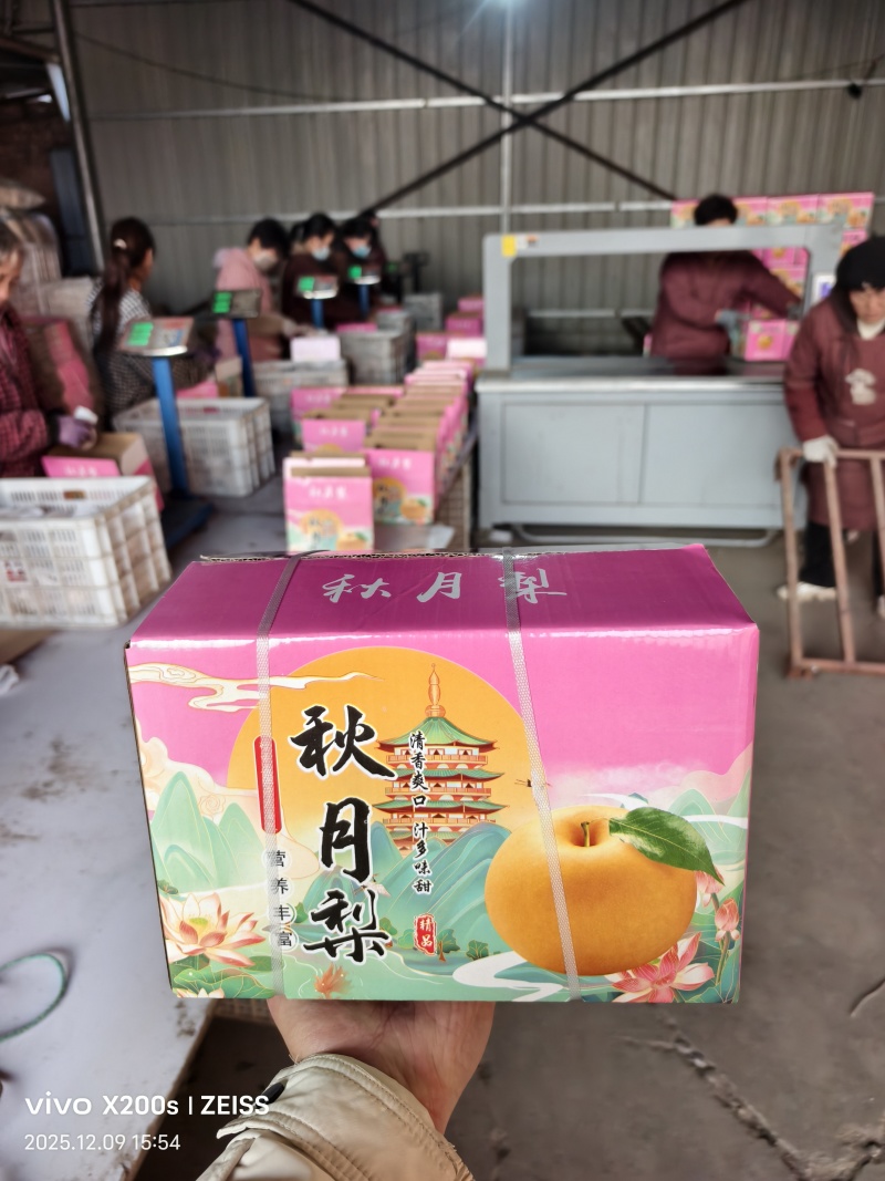 秋月梨梨中爱马仕精品礼盒庄装基地直发对接全国一条龙