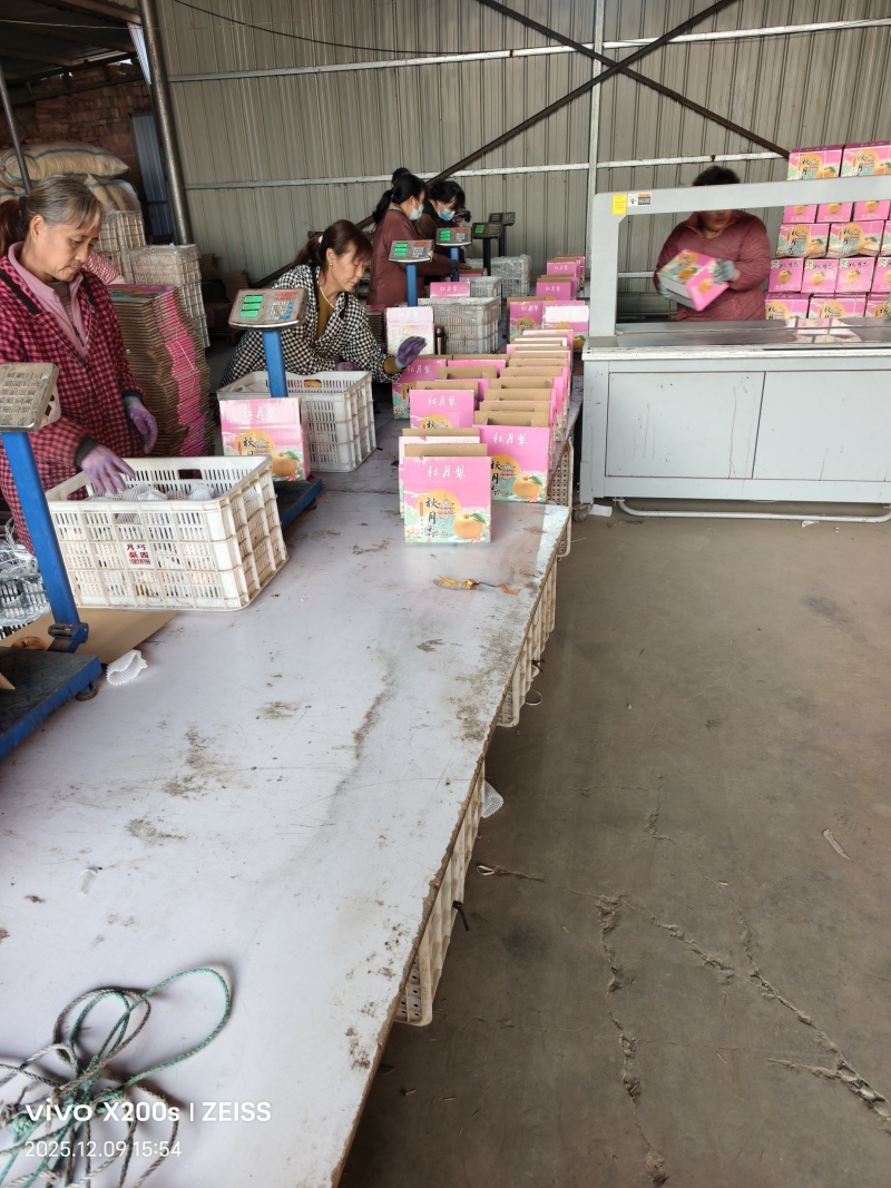 秋月梨梨中爱马仕精品礼盒庄装基地直发对接全国一条龙