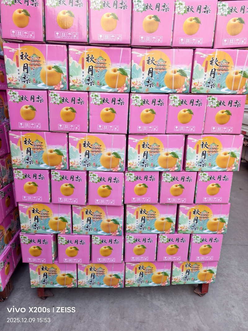 秋月梨梨中爱马仕精品礼盒庄装基地直发对接全国一条龙