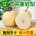 精品皇冠梨河北逛逛梨梨大量供应可视频看货欢迎来电采