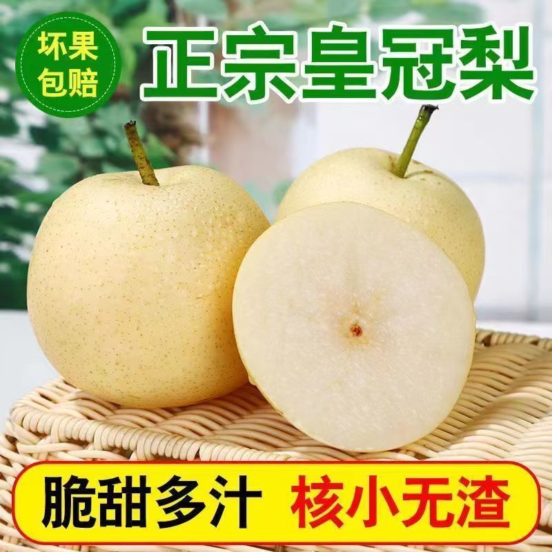精品皇冠梨河北逛逛梨梨大量供应可视频看货欢迎来电采