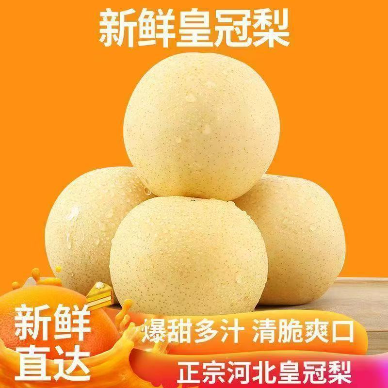 精品皇冠梨河北逛逛梨梨大量供应可视频看货欢迎来电采