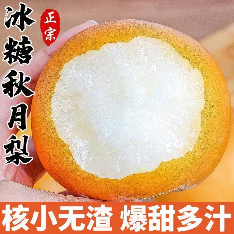 优质秋月梨河北泊头市秋月梨大量供应可视频看货全国发