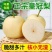精品皇冠梨河北逛逛梨梨大量供应可视频看货欢迎来电采