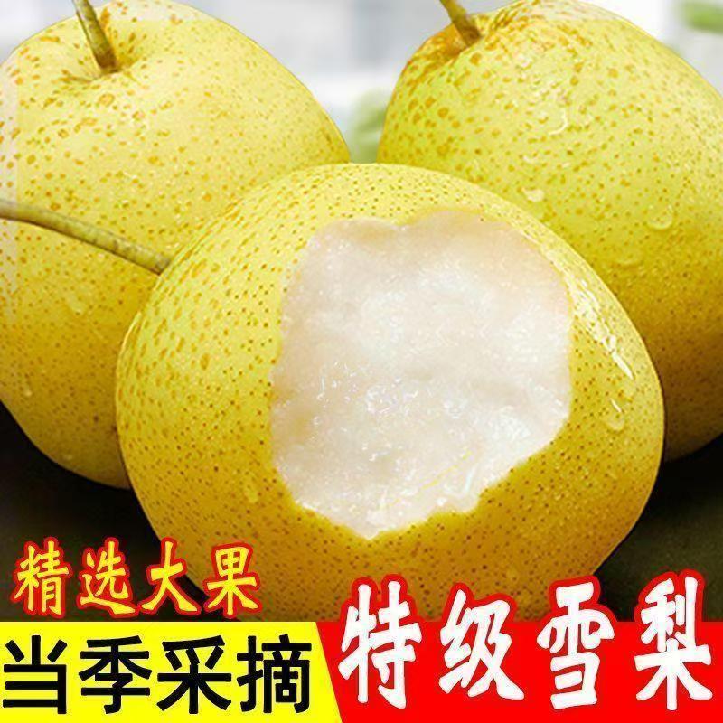 精品雪花梨河北雪花梨大量供应可视频看货欢迎来电