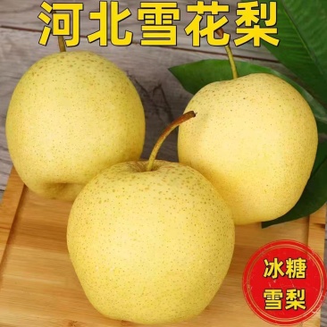精品雪花梨河北雪花梨大量供应可视频看货欢迎来电