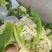 湖北花菜产地直供大量有货对接超市电商批发市场全国发货