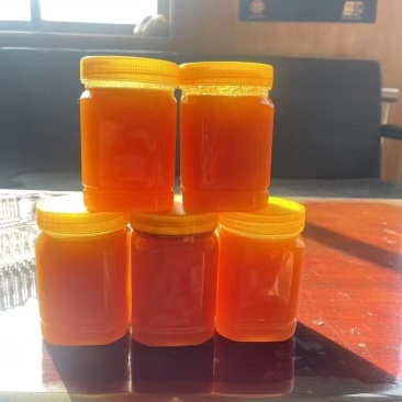 土蜂蜜出售