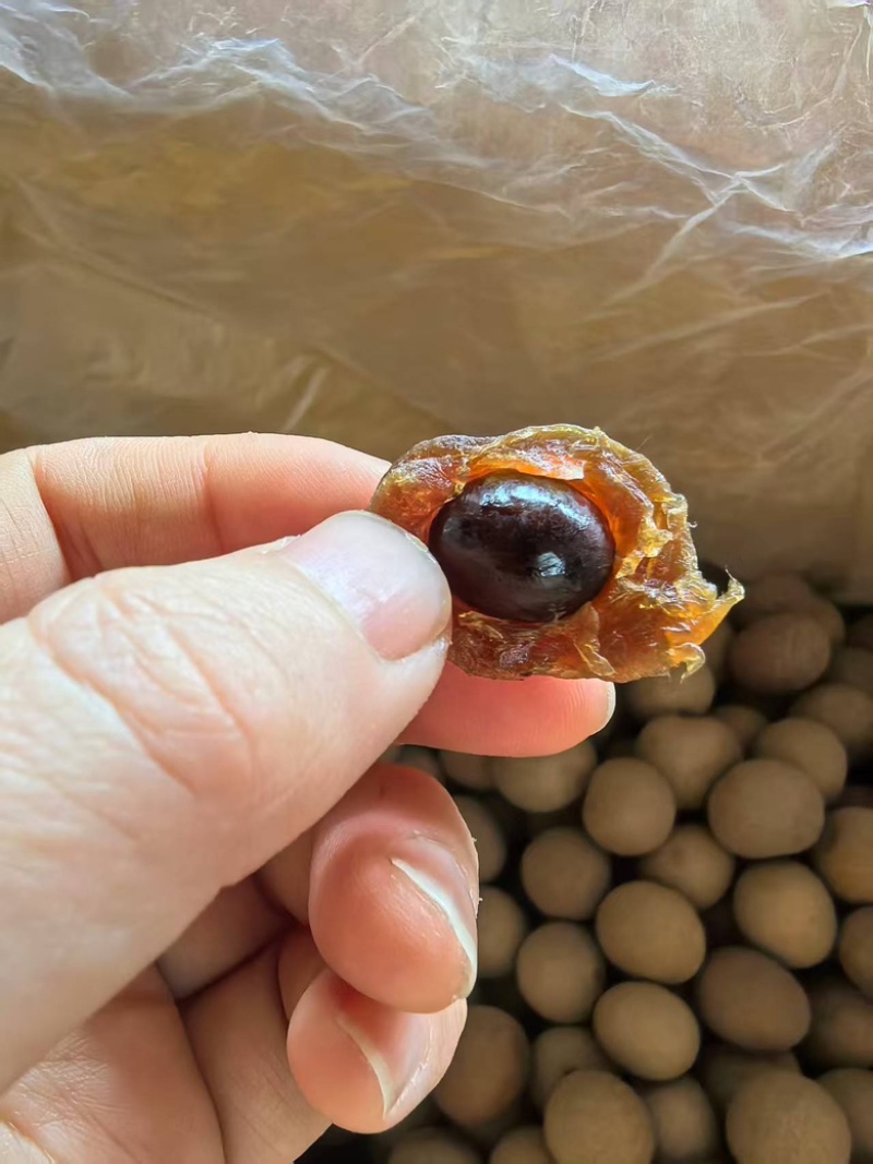 [桂圆干]大量供应桂圆干货源充足，支持零售批发