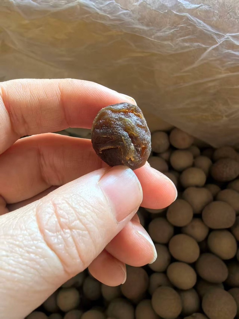 [桂圆干]大量供应桂圆干货源充足，支持零售批发