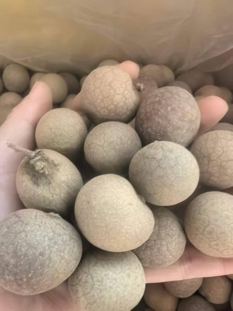 [桂圆干]大量供应桂圆干货源充足，支持零售批发
