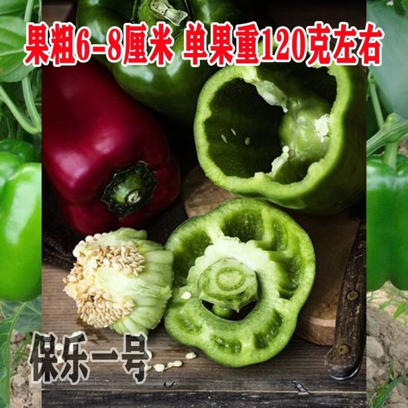 大果甜椒种子长势强大果甜椒种籽肉厚微甜耐运输高产春秋播种