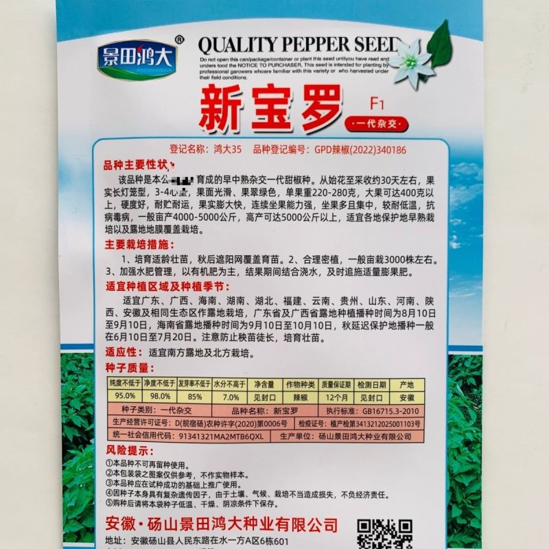 大果甜椒灯笼椒种子硬度好耐储运肉厚味甜皮光泽高产抗病甜椒
