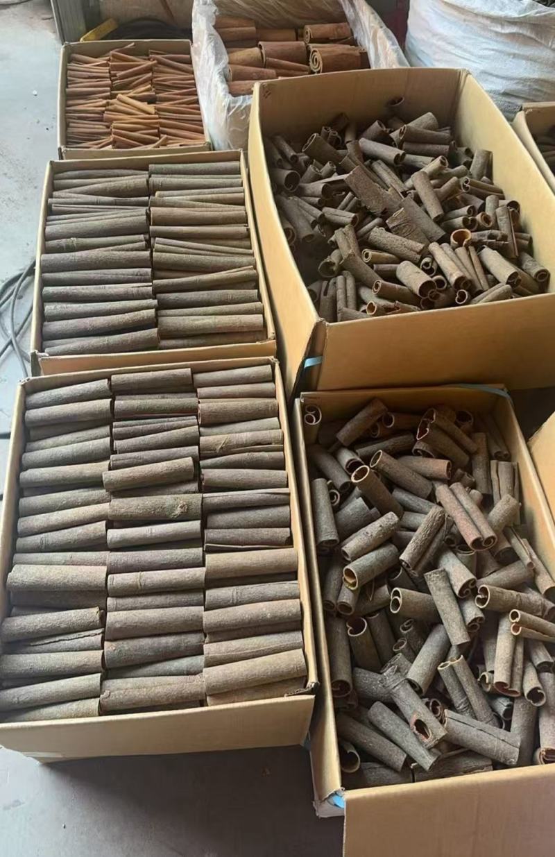 广西精品桂皮桂通大通中通小通产地直供量大稳定