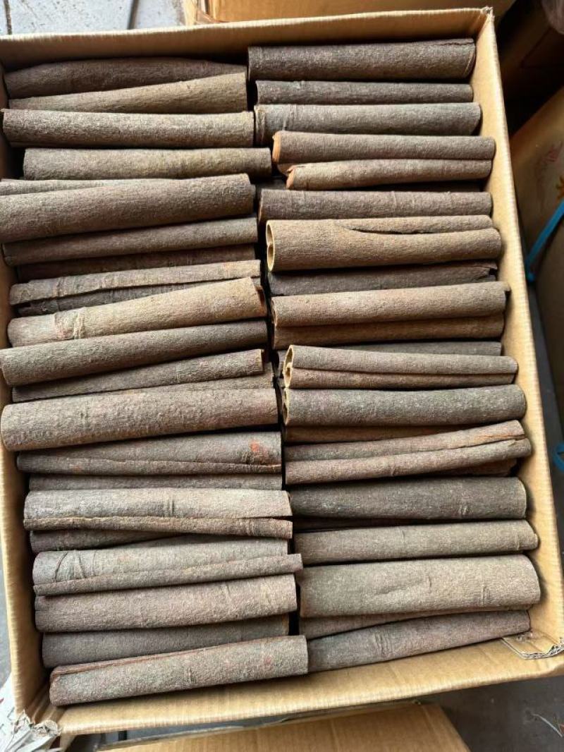 广西精品桂皮桂通大通中通小通产地直供量大稳定