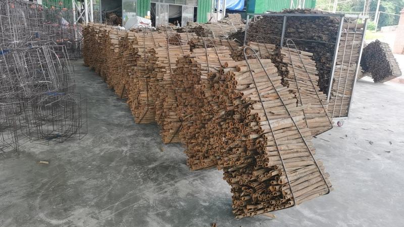 广西精品桂皮桂通大通中通小通产地直供量大稳定