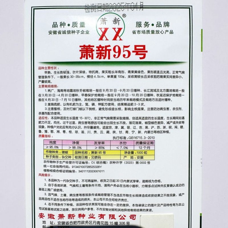 特大果羊角椒种子早熟抗病高产大果中辣羊角椒硬度好耐储运