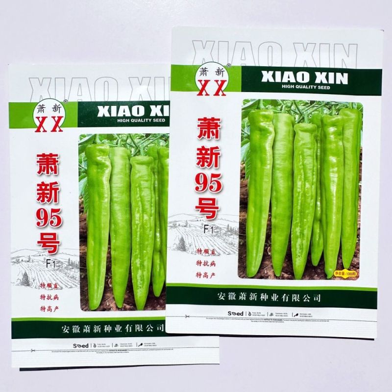 特大果羊角椒种子早熟抗病高产大果中辣羊角椒硬度好耐储运
