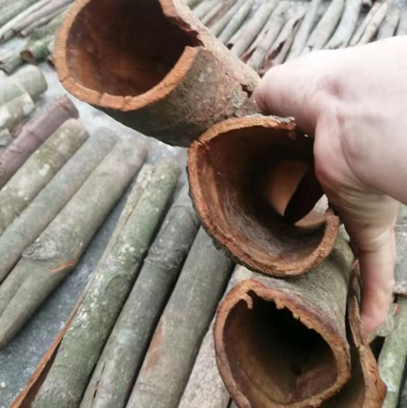 广西精品桂皮桂通大通中通小通产地直供量大稳定