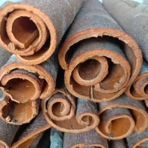广西精品桂皮桂通大通中通小通产地直供量大稳定