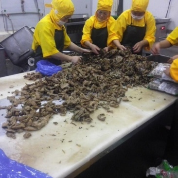惠州梅菜惠州梅干菜原产地发货品质保证梅菜扣肉