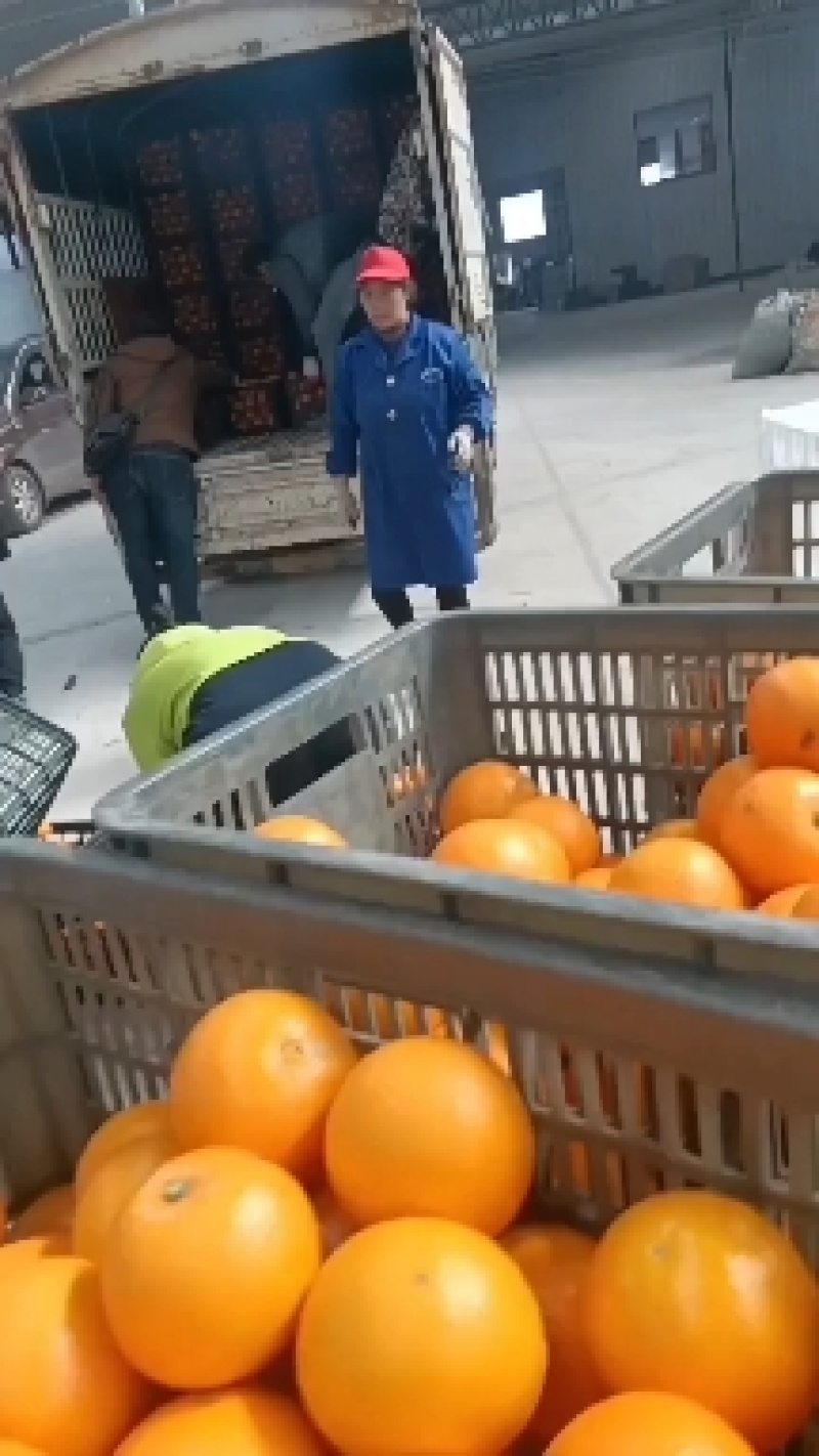麻阳特产富晒水果纽荷尔脐橙，口感很好