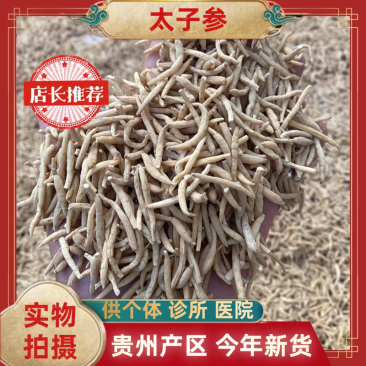 贵州太子参/全年有货/量大从优/自然晾晒/欢迎进店选购