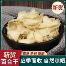 新货特级干货百合白片优质新鲜干煲汤泡茶熬粥中药材无硫百合