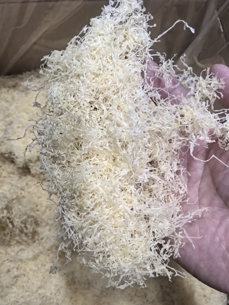 古田银耳古田银耳丝精品银耳丝