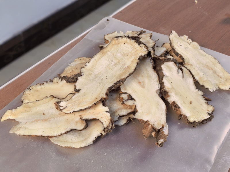 甘肃岷县原产地自产自销当归头片