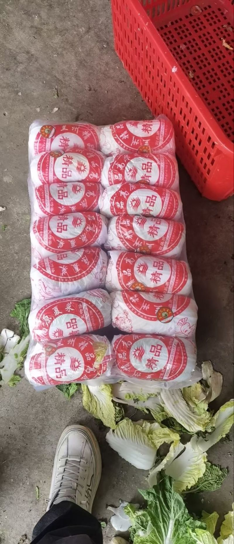 邯郸精品大白菜大量有货。有需要的老板联系了。