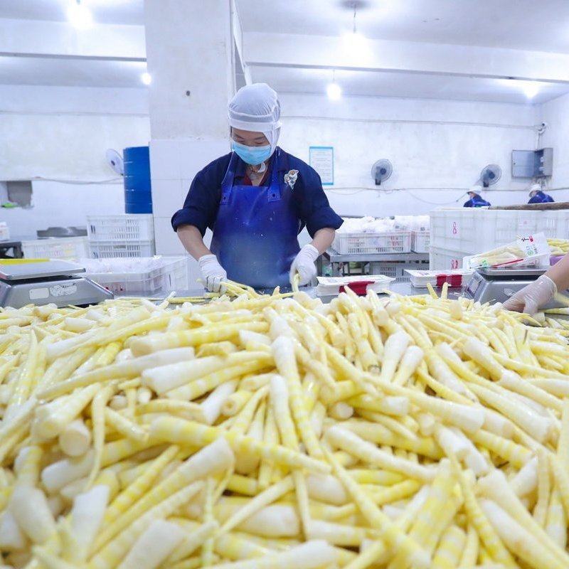 清远西牛麻竹笋原味笋丝螺蛳粉灵魂搭档配料