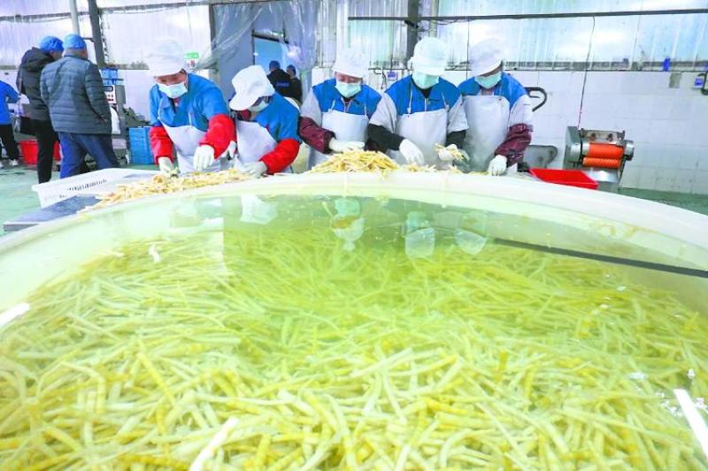 清远西牛麻竹笋原味笋丝螺蛳粉灵魂搭档配料