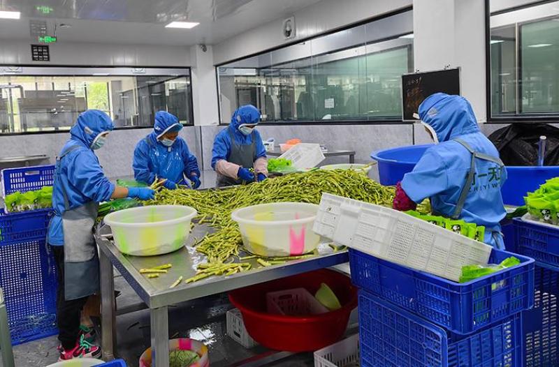 清远西牛麻竹笋原味笋丝螺蛳粉灵魂搭档配料