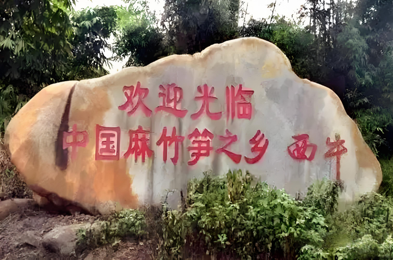 清远西牛麻竹笋原味笋丝螺蛳粉灵魂搭档配料