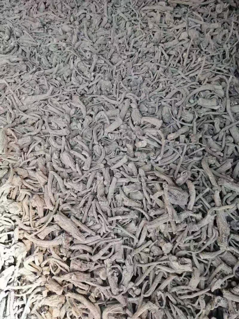 湖北木香产地批发品质保证规格齐全欢迎老板来电咨询订购