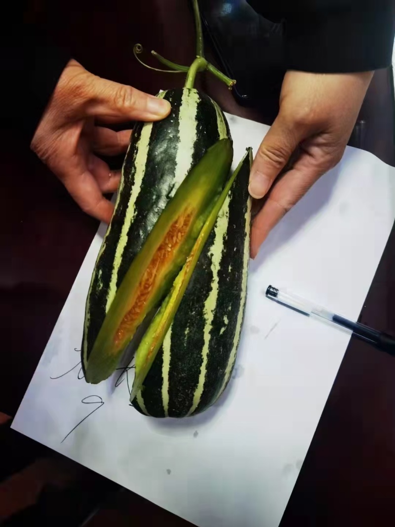 羊角蜜甜瓜产地直发一手货源全国发货品质保证欢迎老板联系
